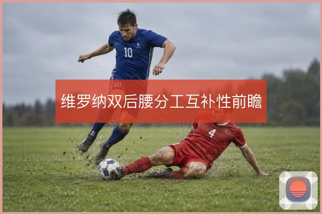 维罗纳双后腰分工互补性前瞻
