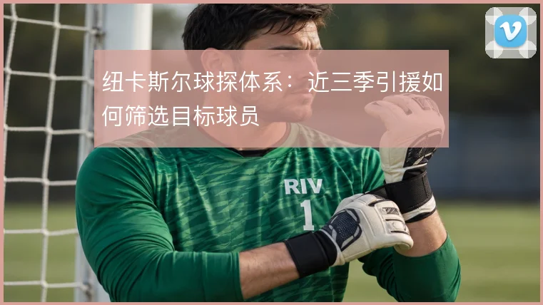 纽卡斯尔球探体系:近三季引援如何筛选目标球员