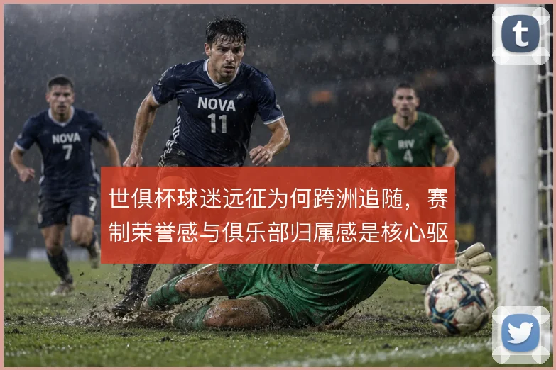 世俱杯球迷远征为何跨洲追随，赛制荣誉感与俱乐部归属感是核心驱动